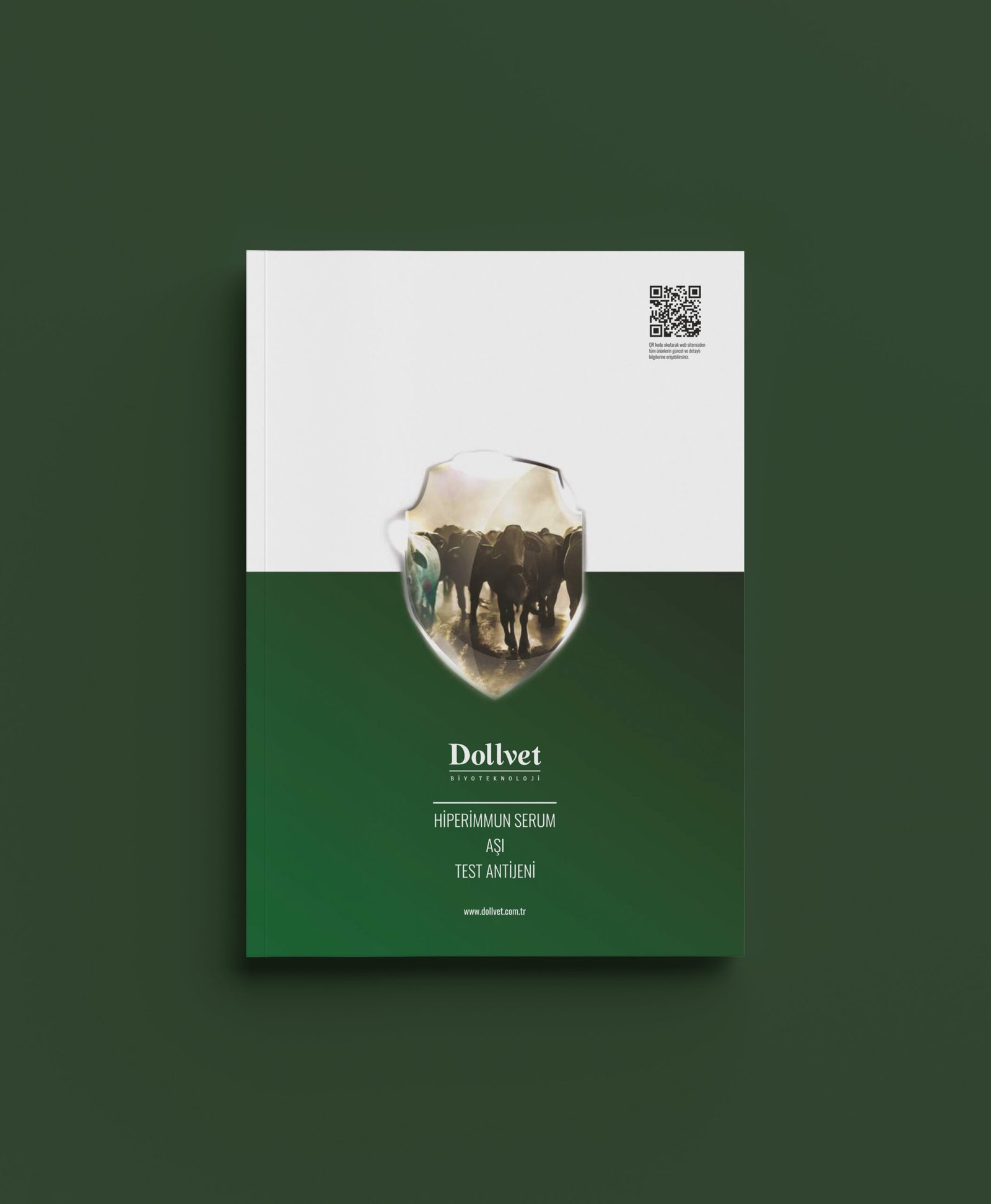 As╠ğ─▒-Katalog-TR