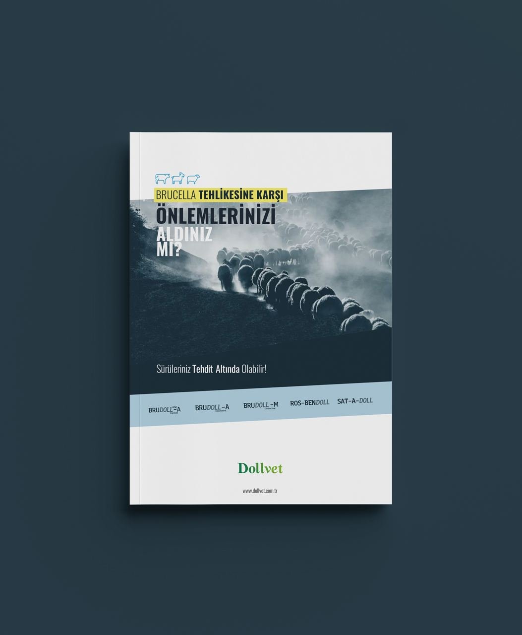 photo_2023-05-26_17-17-39