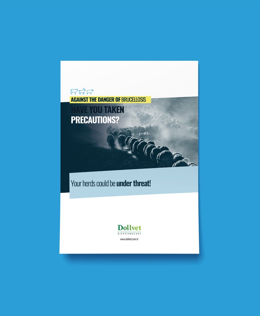 brudoll_web_katalog_format_843x1024px